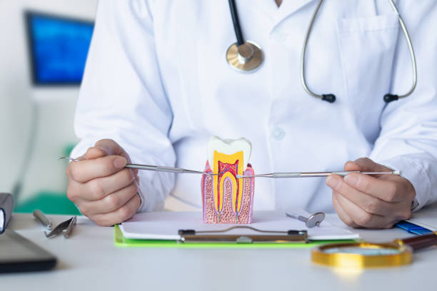 Best Pediatric Emergency Dentist in Madison, WV
